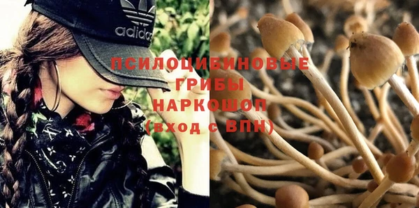кокс Семилуки