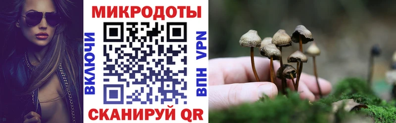 Купить закладки  Калязин  Псилоцибиновые грибы MAGIC MUSHROOMS 